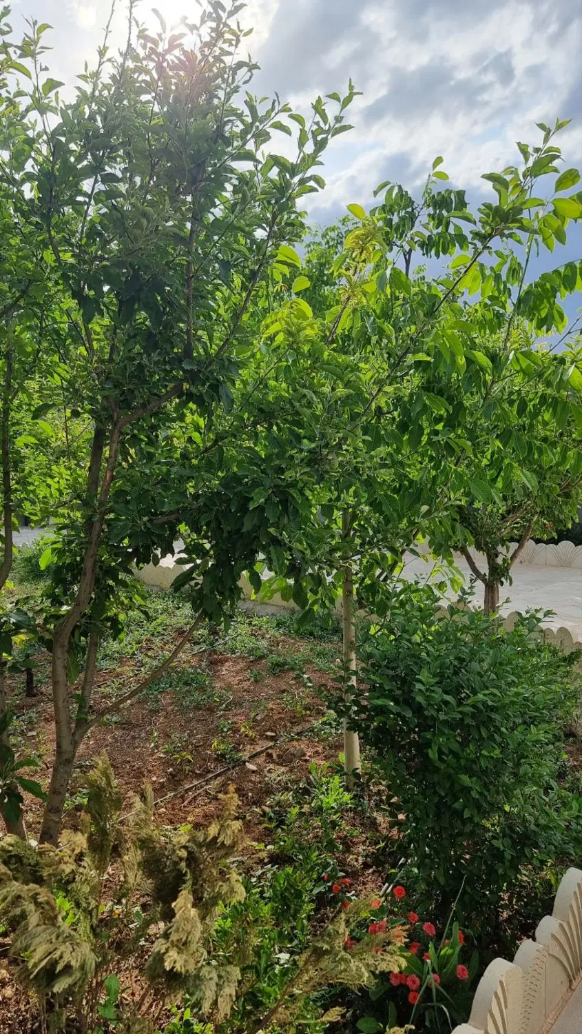 باغچه ویلایی ۳۰۰متر ی جابان دماوند