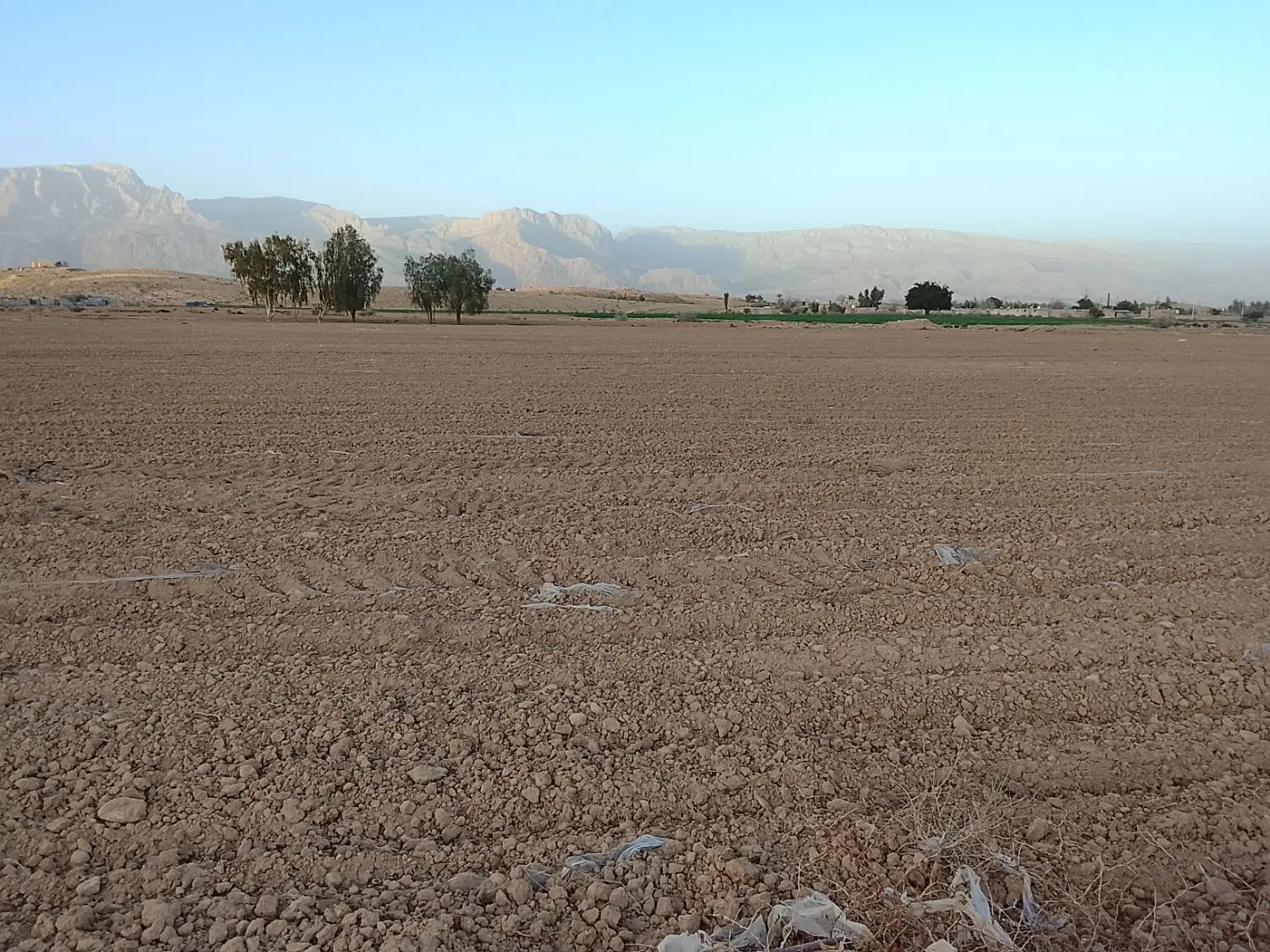 زمین برای اجاره کشاورزی