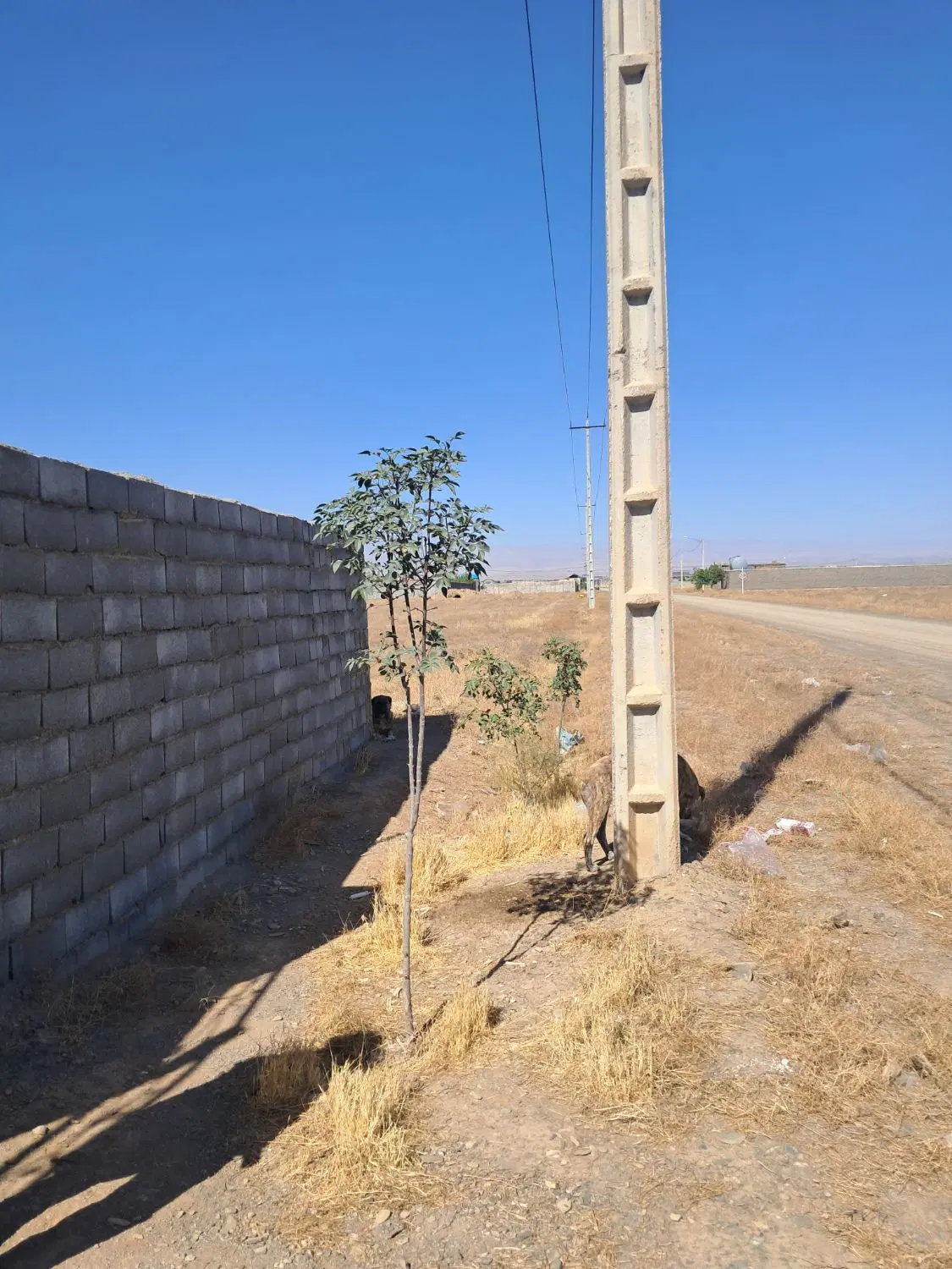 فروش زمین 550متری در کاهو