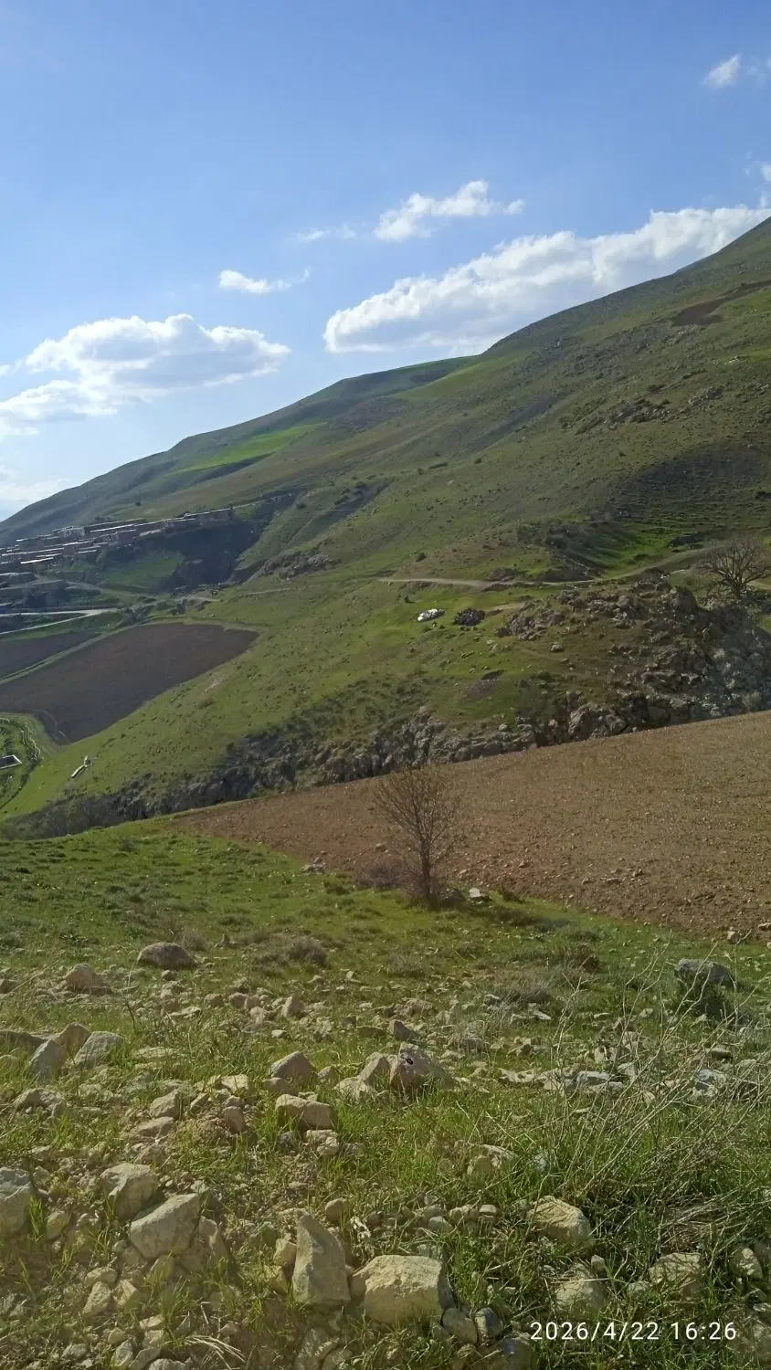 اجاره زمین کشاورزی دیم