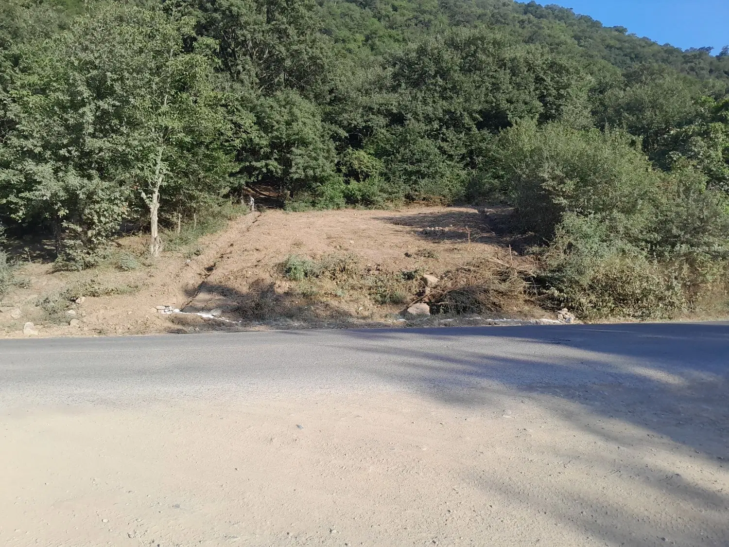 زمین باغی کشاورزی