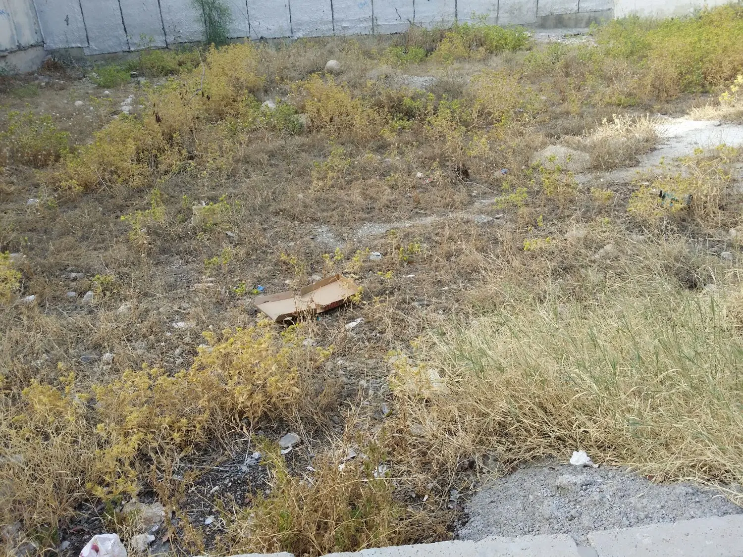 زمین 220 متری  تنگک 1_دریابندری