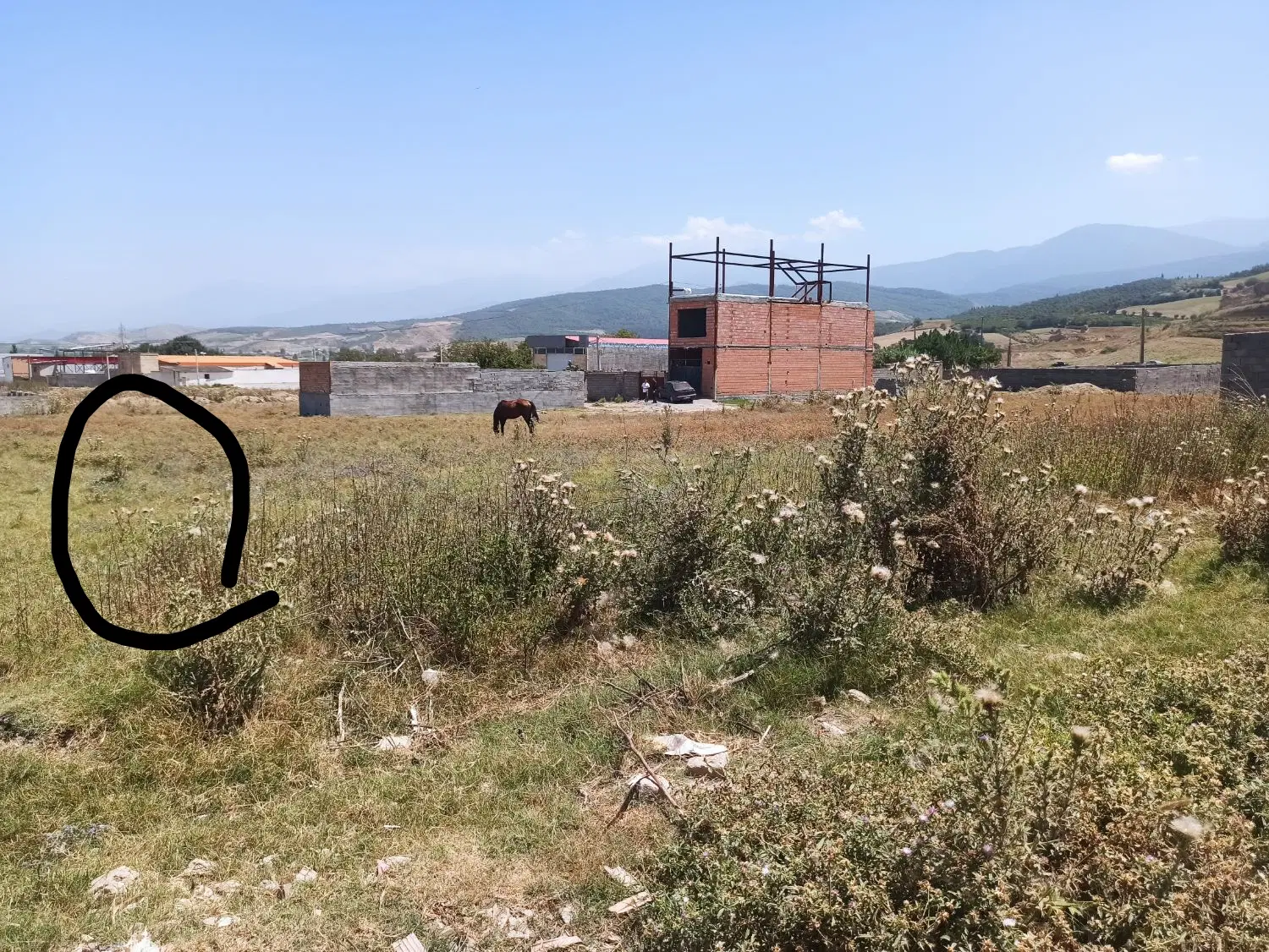 زمین طبیعت