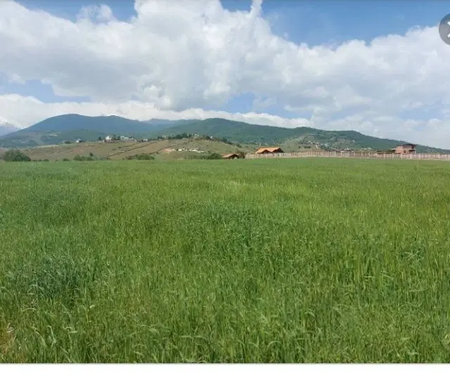 فروش زمین گورک