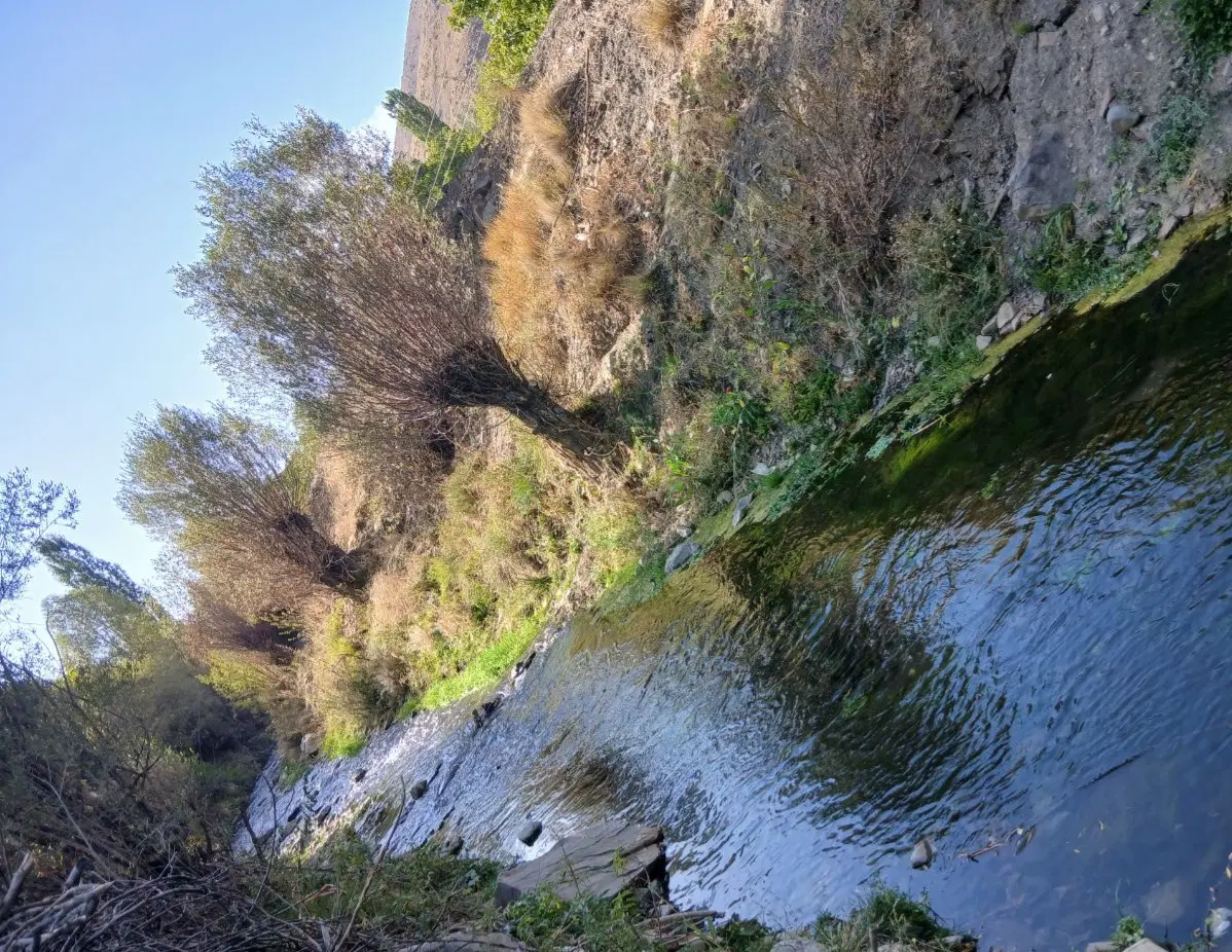*فروش باغ و زمین*