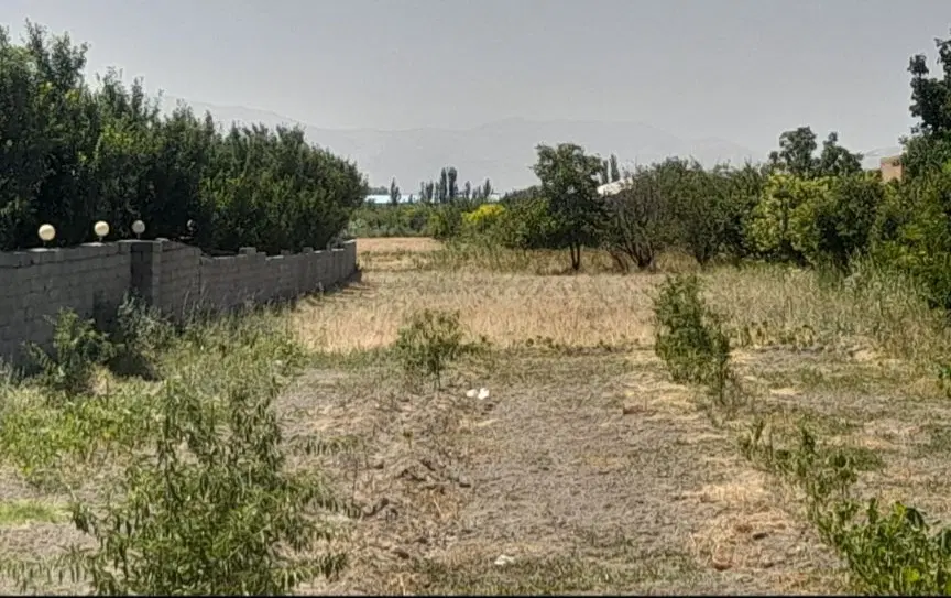 ۱۳۸۰مترزمین واقع در اول روستای شیخ تیمور