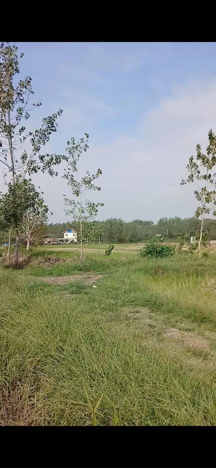 ۳۰۰۰متر زمین کشاورزی سنتی