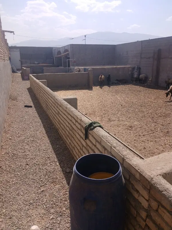 دامداری فروشی