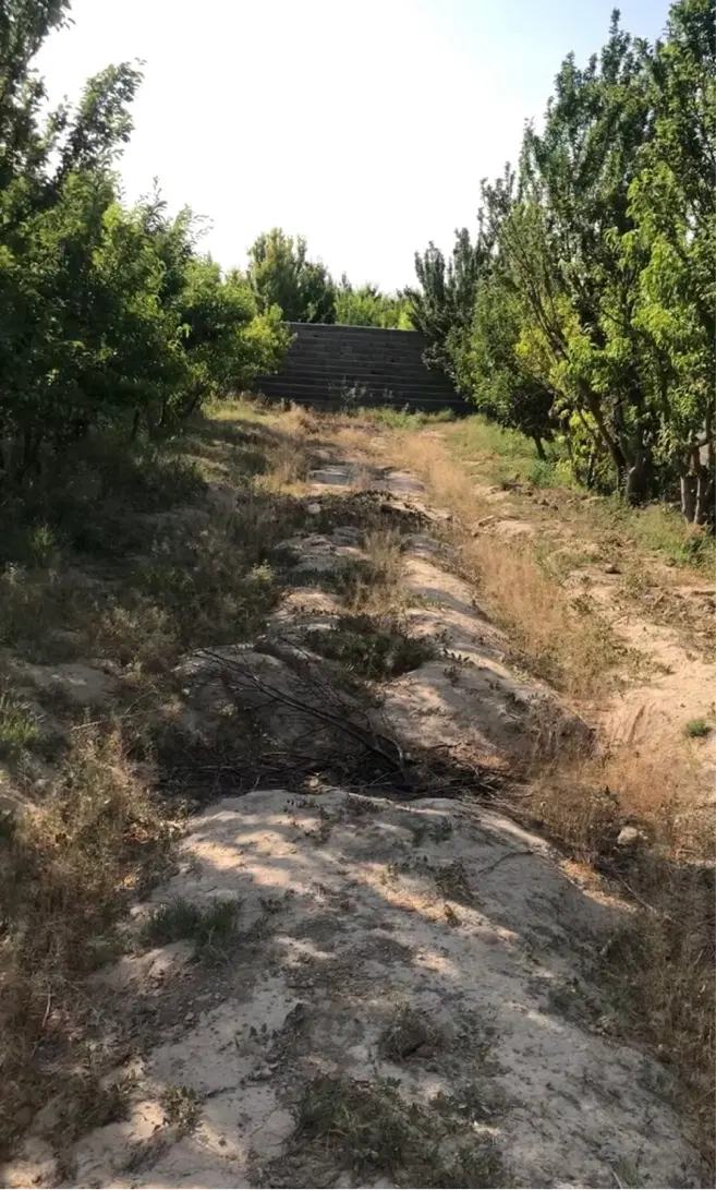 ۸۰۰متر چهاردیواری جای دنج برای ساخت ویلای خودت