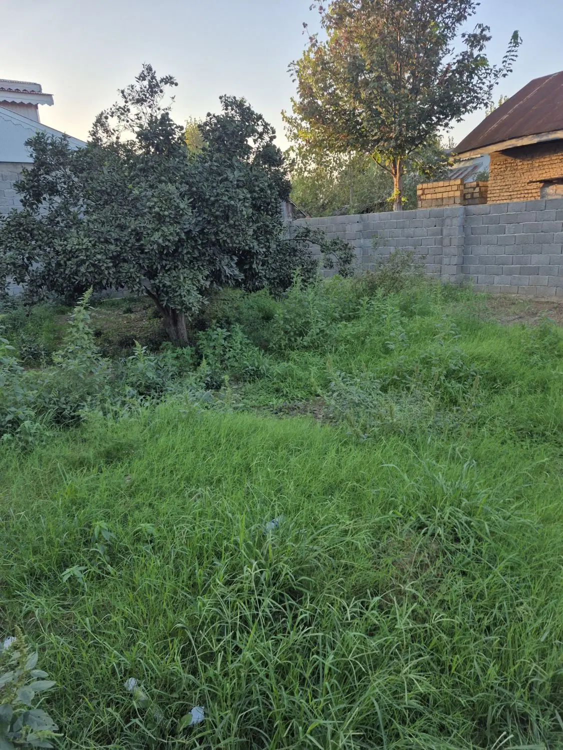 فروش زمین تمام مسکونی روستای تجن گوکه