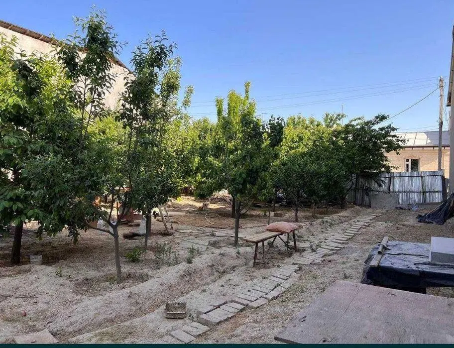 فروش باغ ۳۰۰ متری کوره جبور  سند تک‌برگ سبز