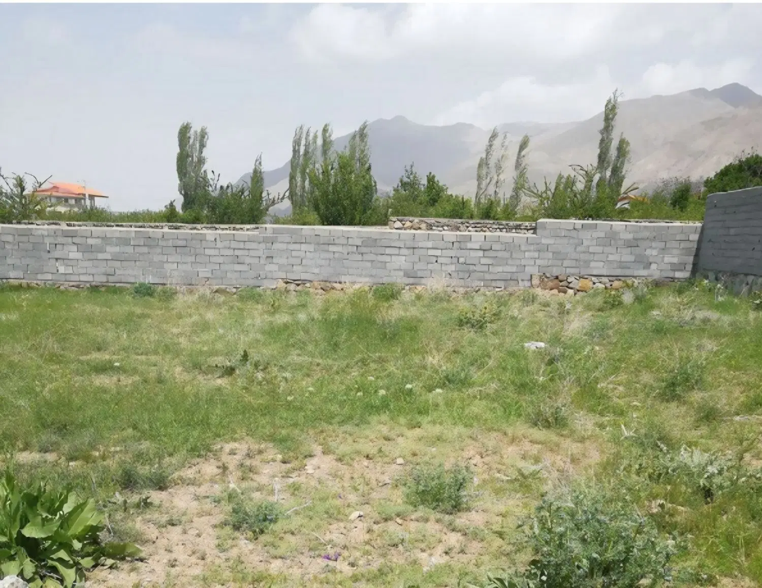 زمین باغک جنوبی ۹۶۵متر