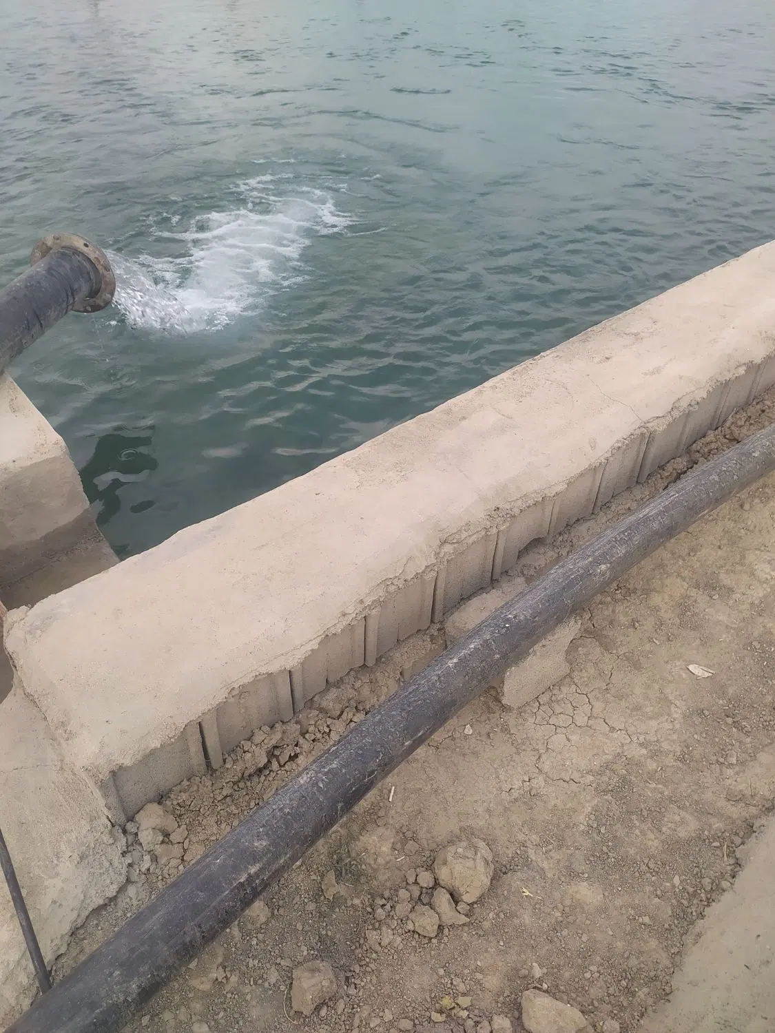 اجاره حوض هویج شویی