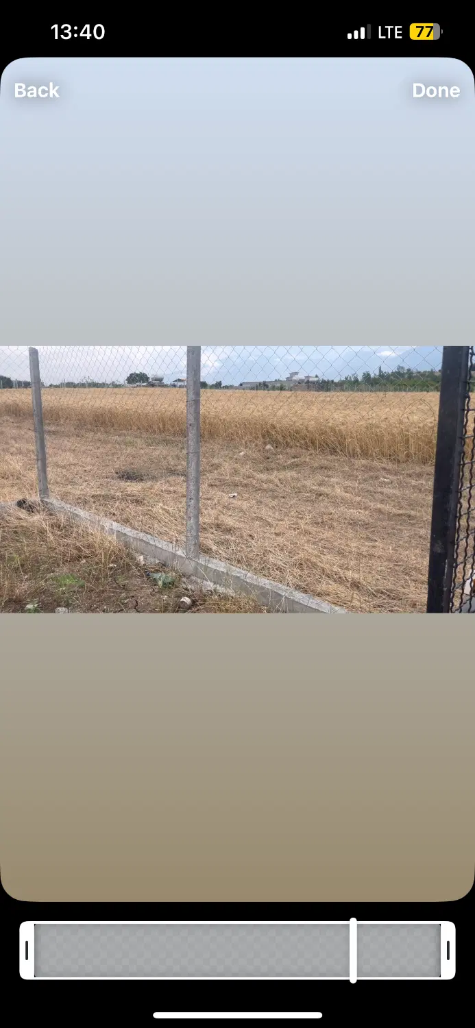 شموشک