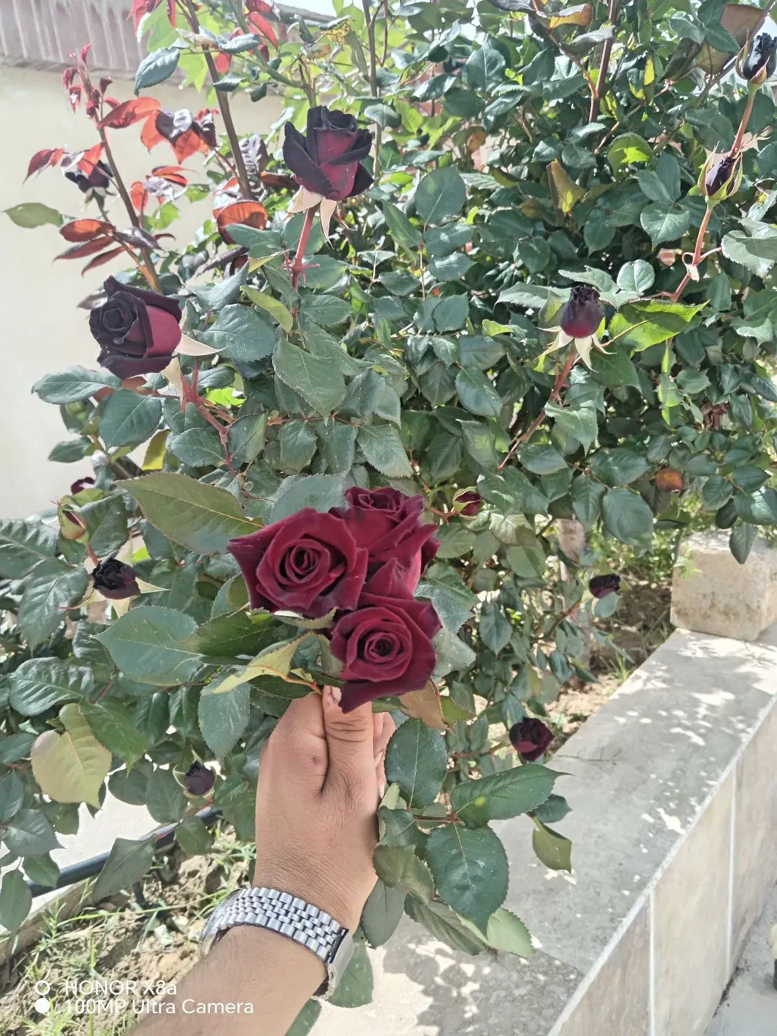 باغ شهری 1500 متری در زرقان
