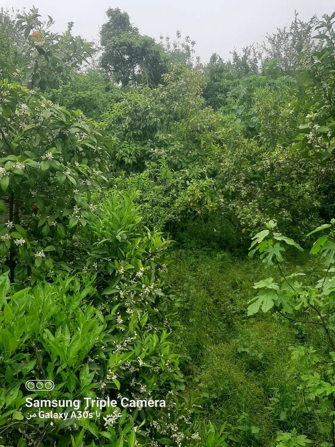 زمین زیر قیمت تا اخر هفته