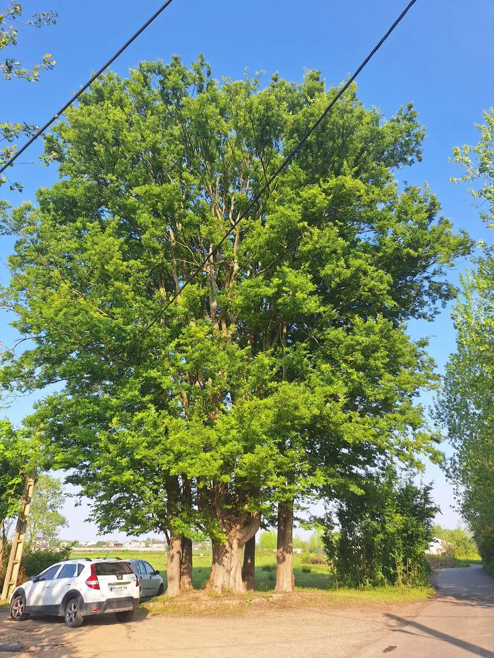 خانه ای دو واحدی واقع در روستا