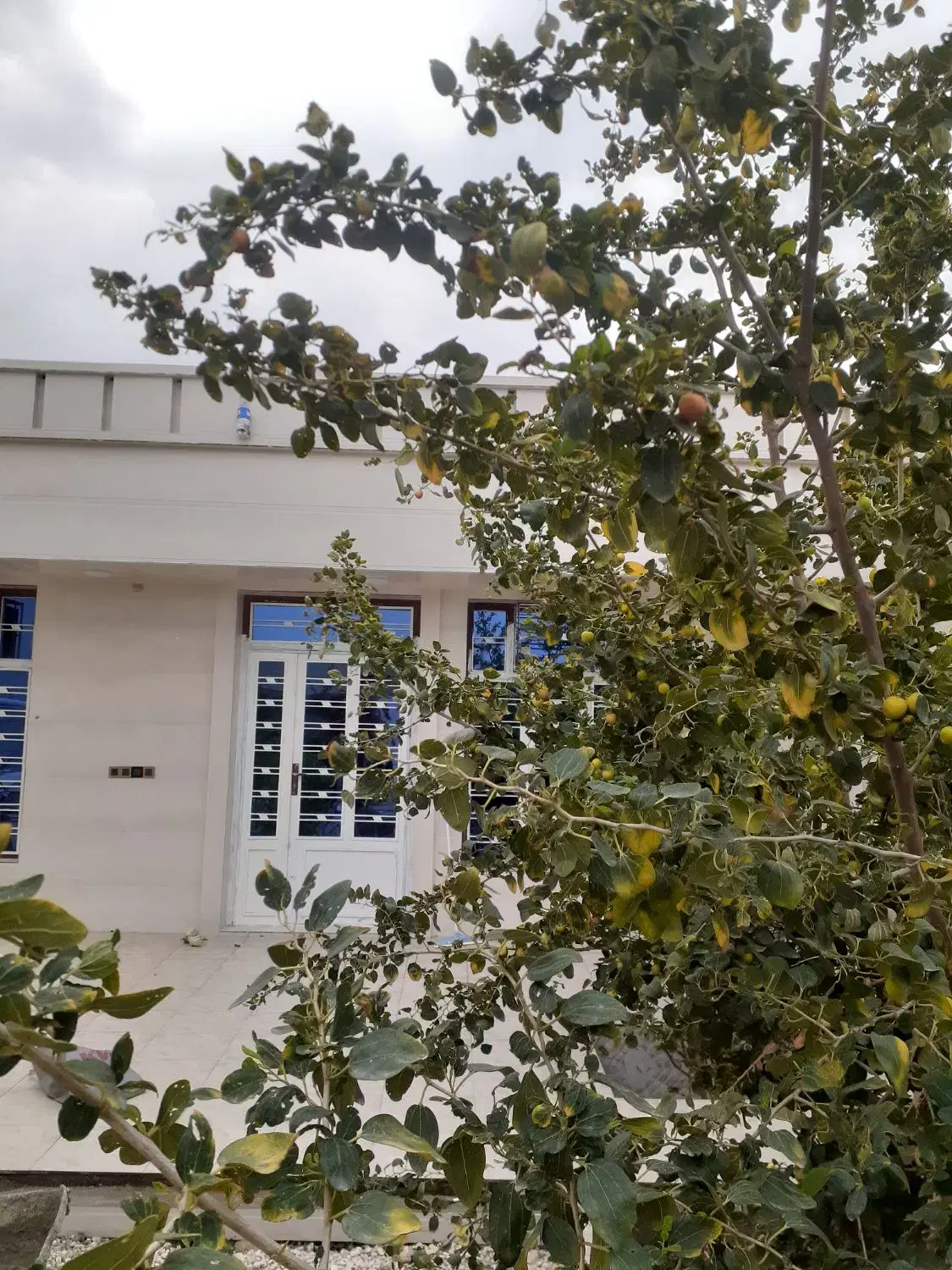 خونه مبله باغ مبله عالیشهرگورک اجاره روزانه