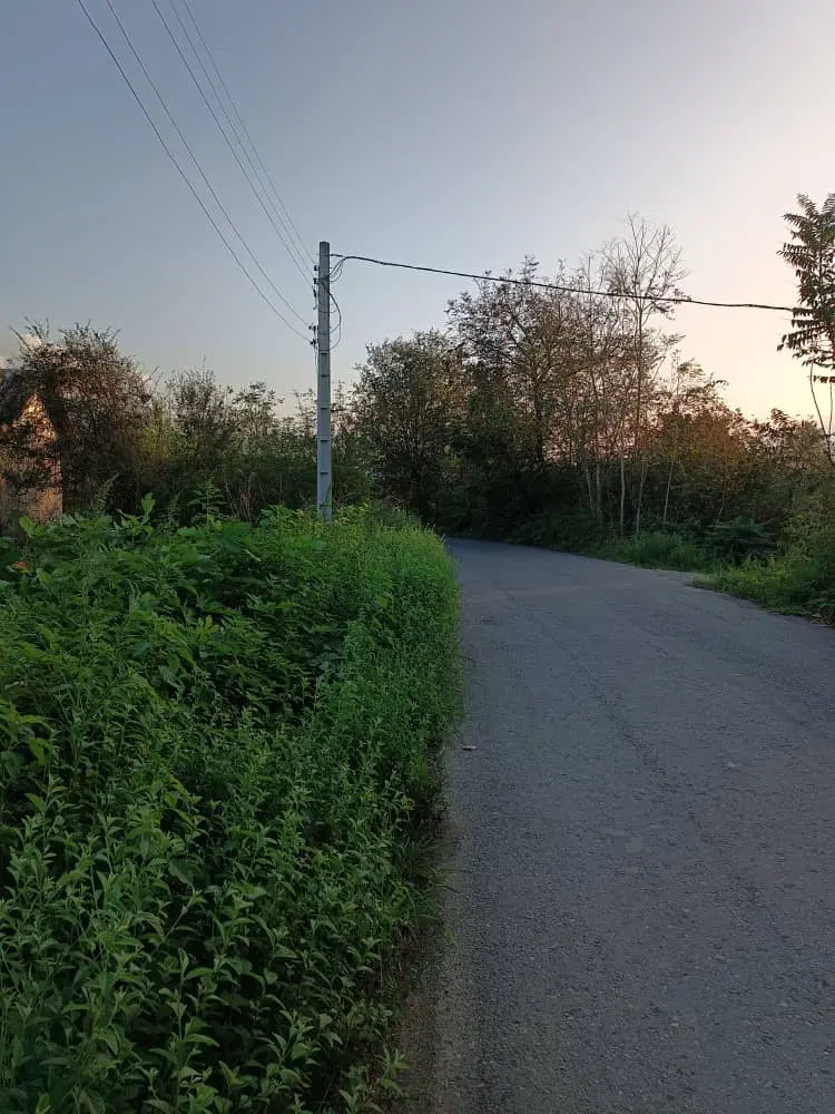 فروش زمین مسکونی روستای زیبای لواسی محله