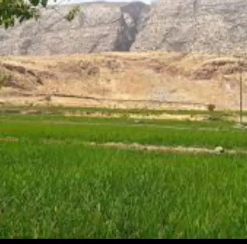 زمین زیر ۱۰۰ متر