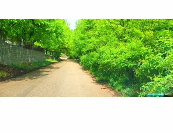 زمین خام دارای اب برق گاز روستای تنگ سریز