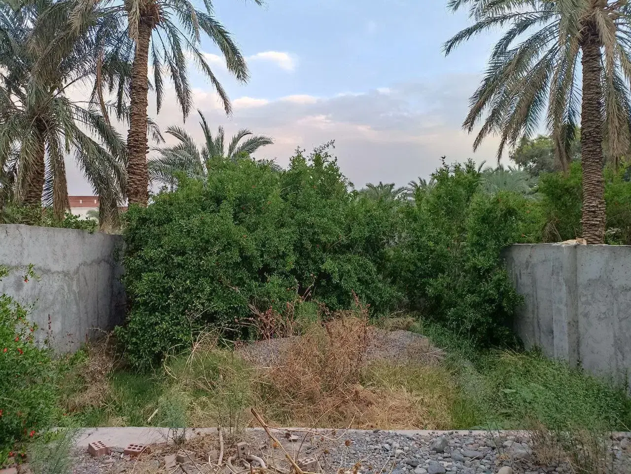 ویلایی لب مفتح ،شیخها، (تجاری )