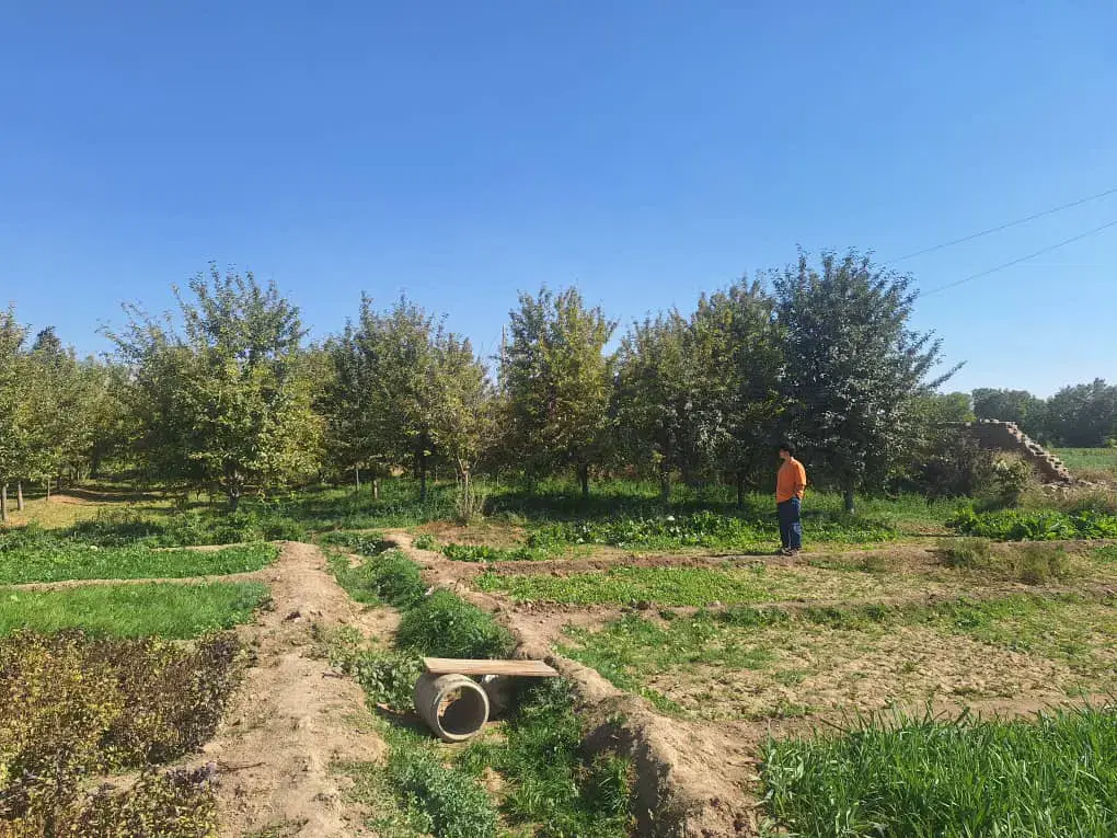 باغ ۱۴۰۰ متری ملایر