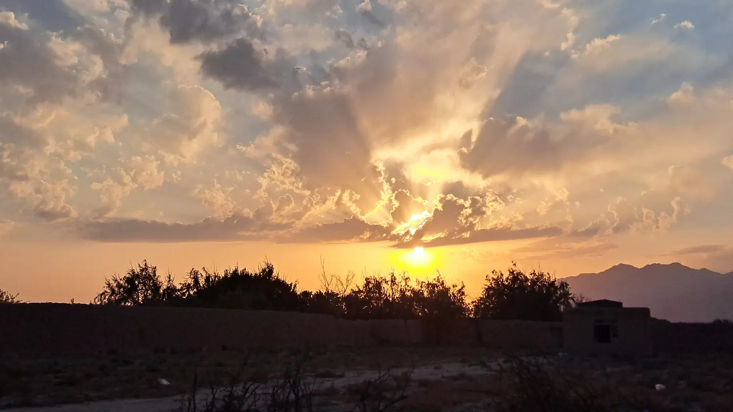 زمین مسکونی رویان
