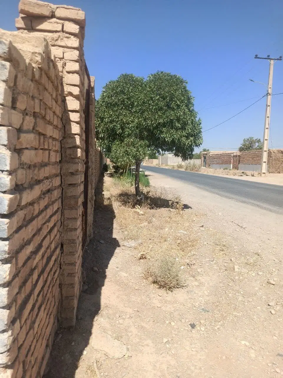 زمین