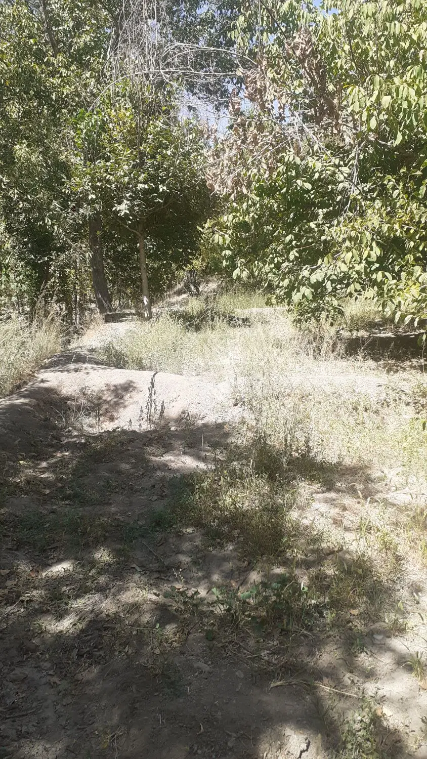 باغ کنار رودخانه