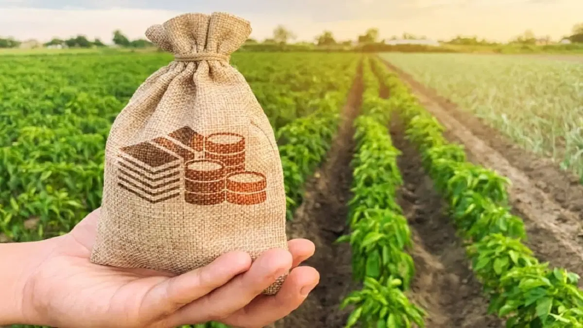 اجاره زمین کشاورزی، آبیاری قطره‌ای