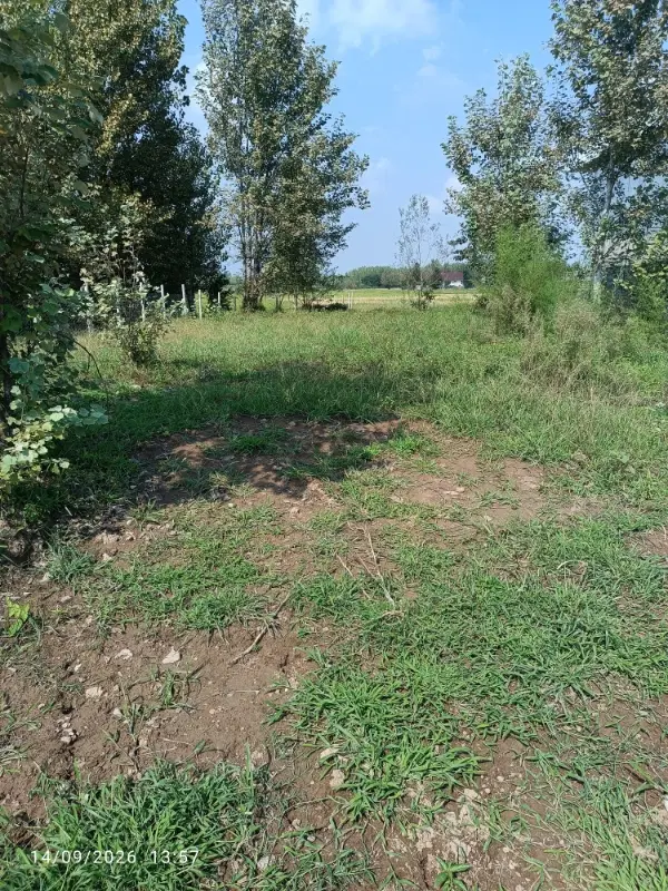 زمین 600متری برکاده کوچصفهان