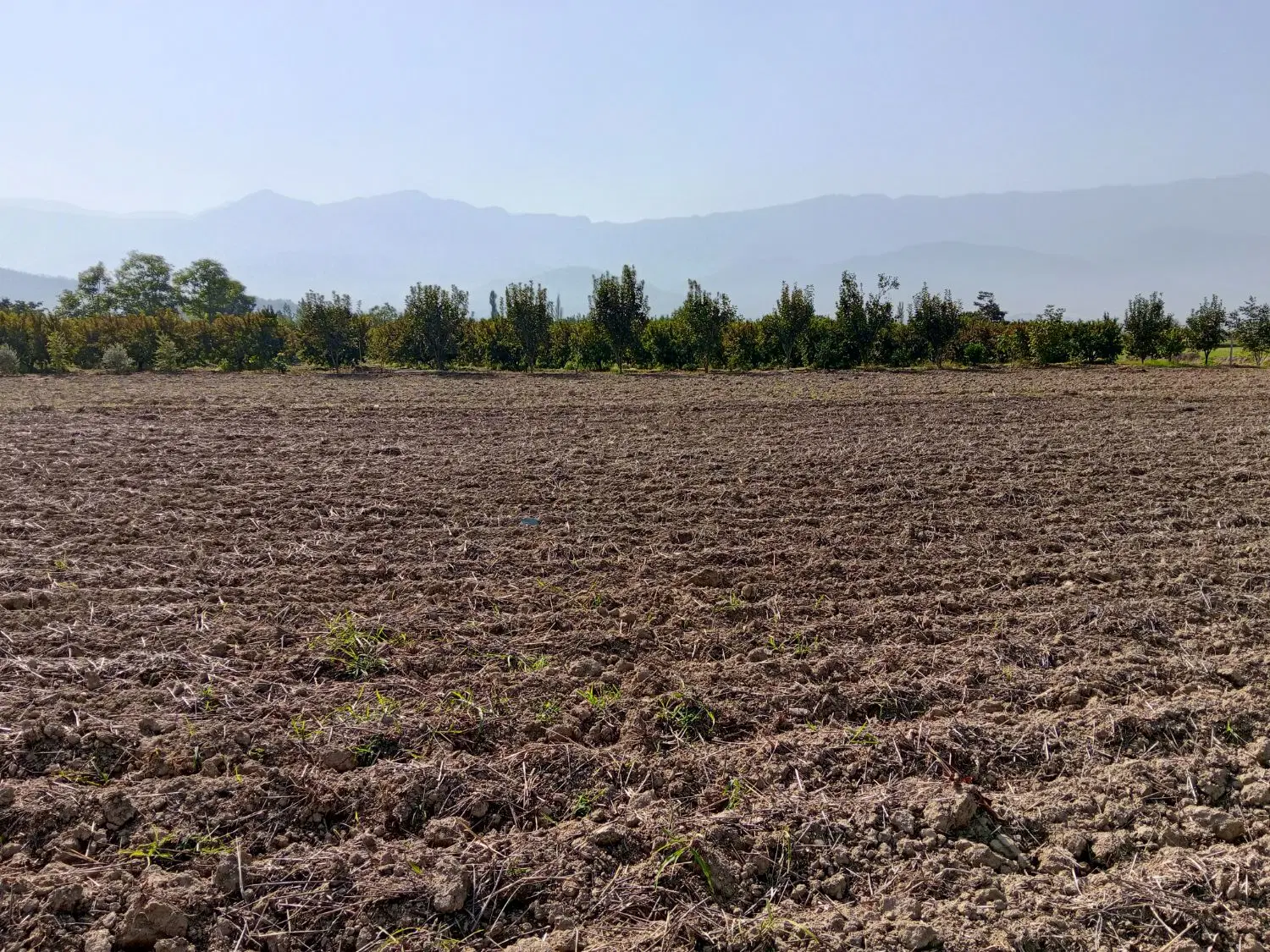 زمین بر اصلی ورودی کفشگیری