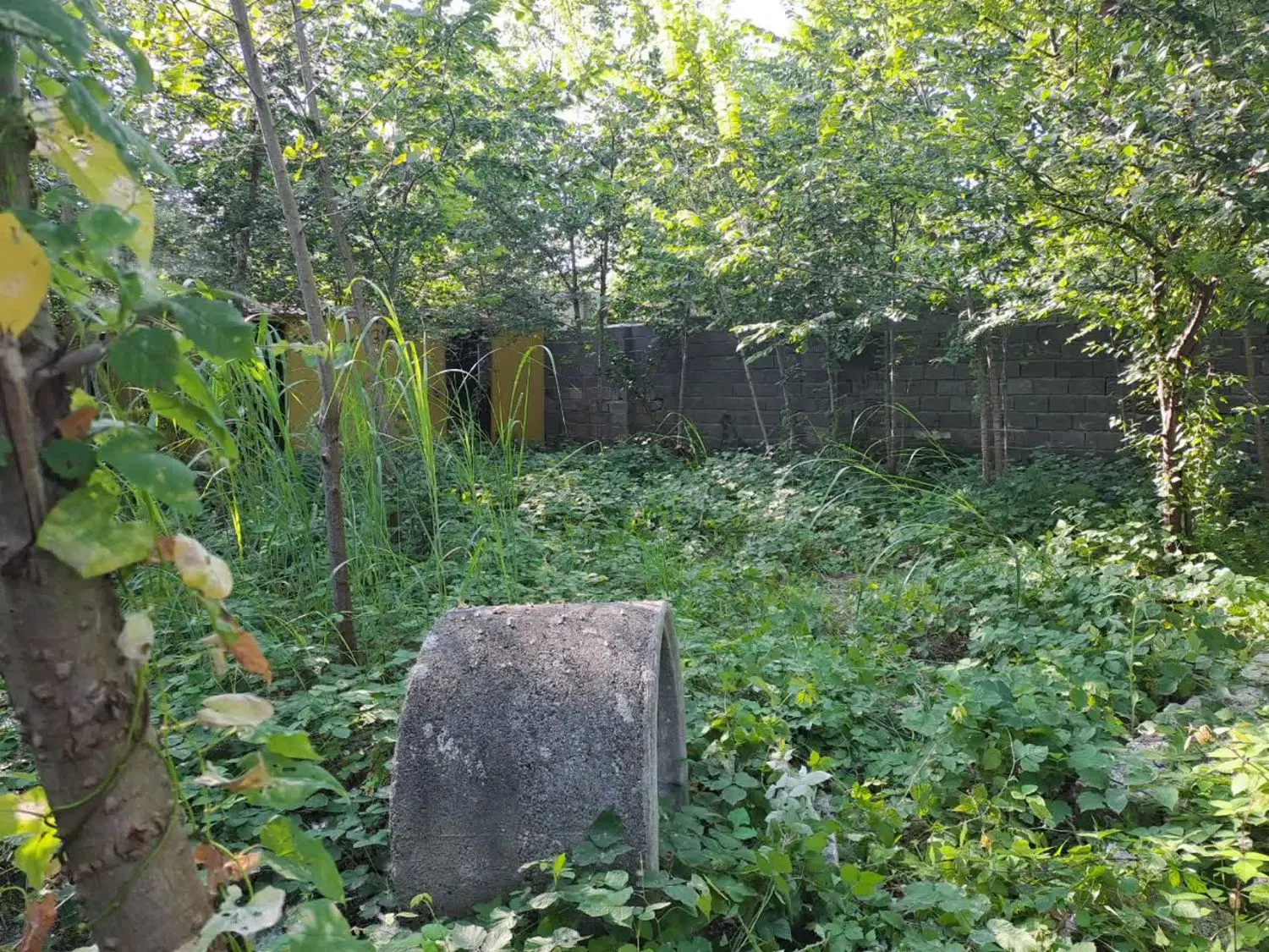 زمین مسکونی