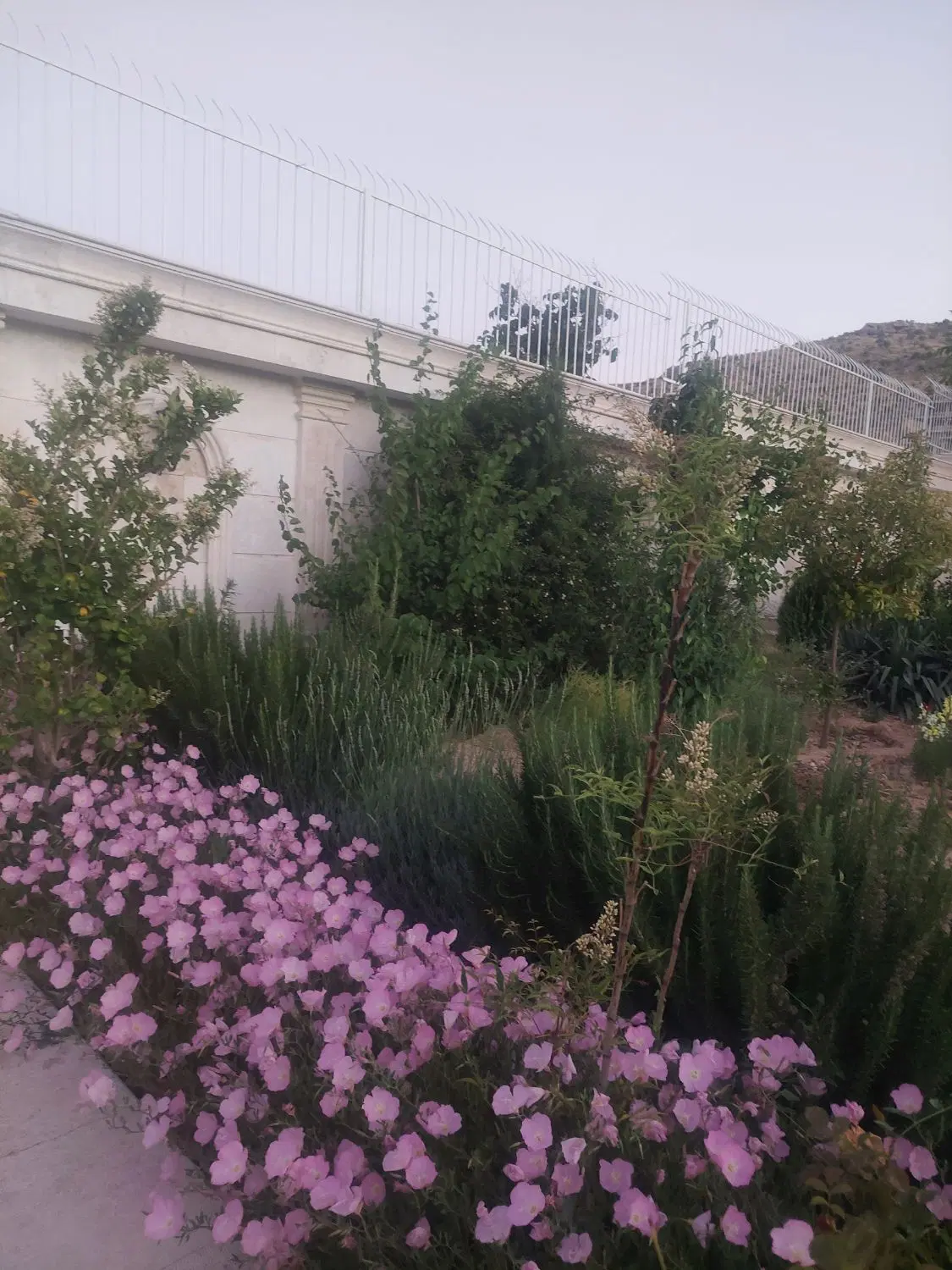 فروش زمین باغشهر اموزش وپرورش