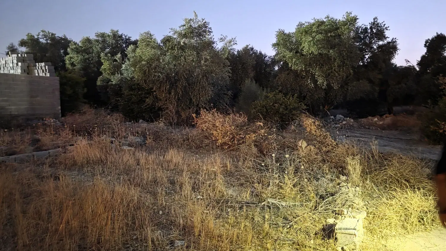 ۶۰۰ متر زمین صنعتی در بهارستان