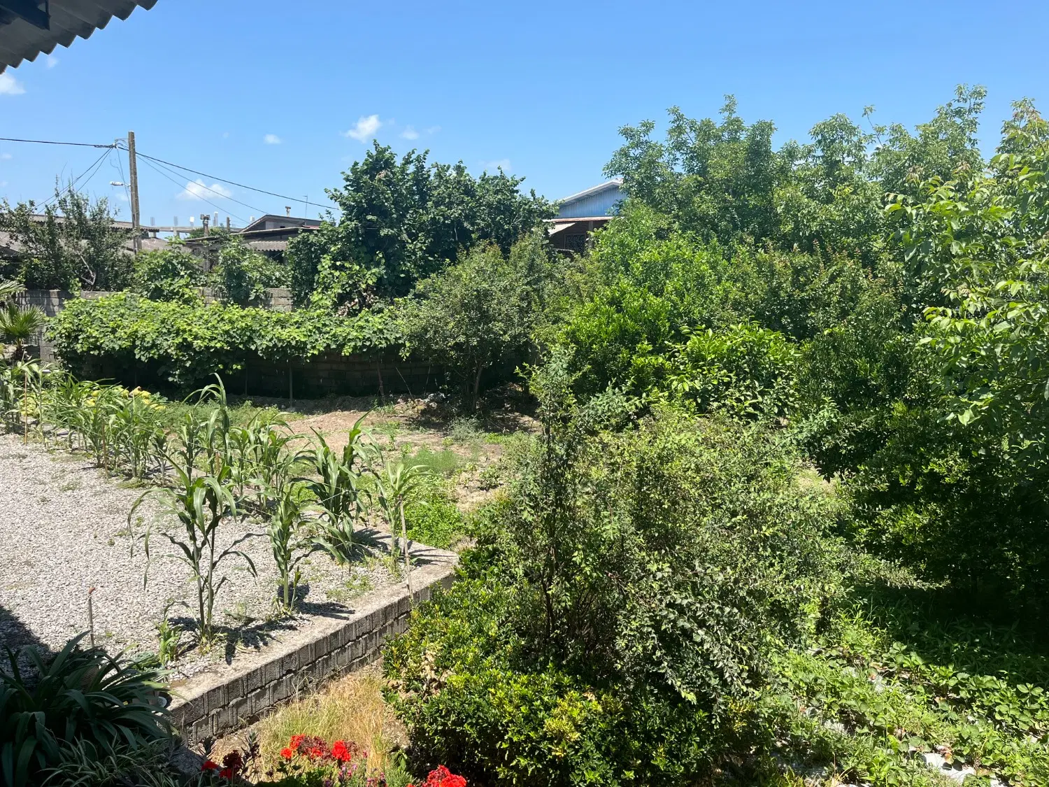 زمین مسکونی