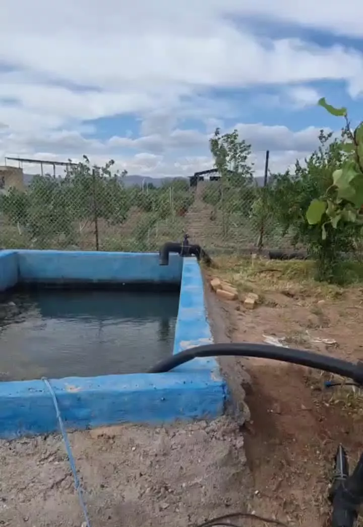 زمین کشاورزی