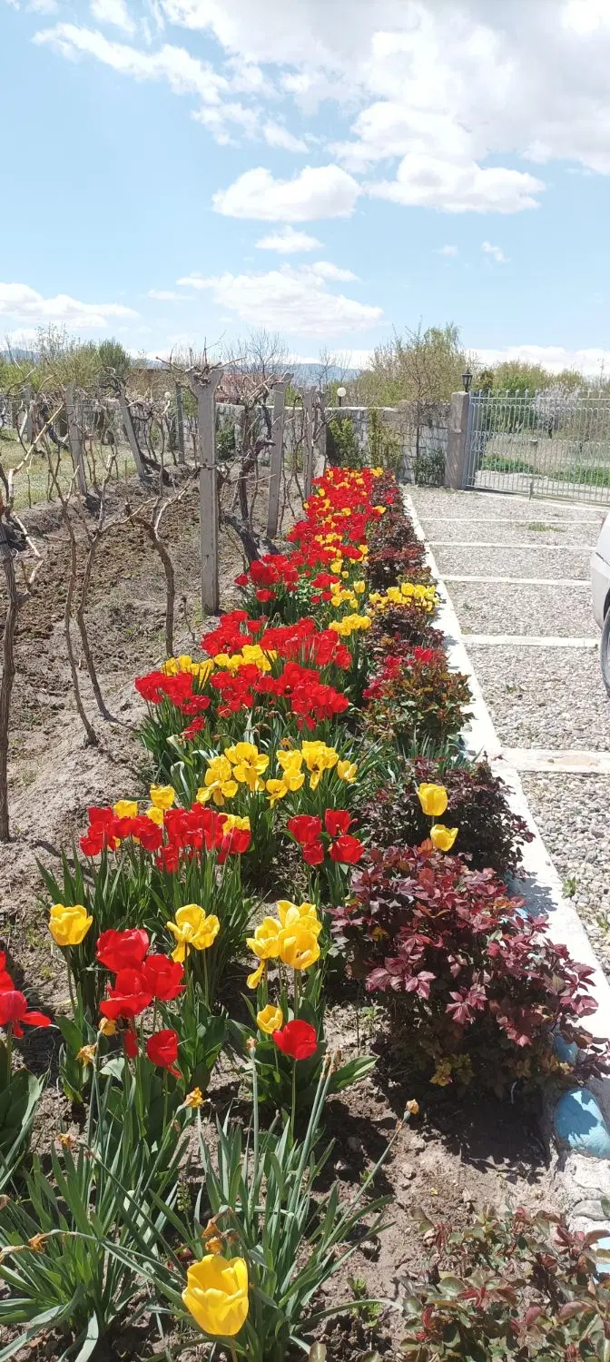 زمین صنعتی و ویلایی