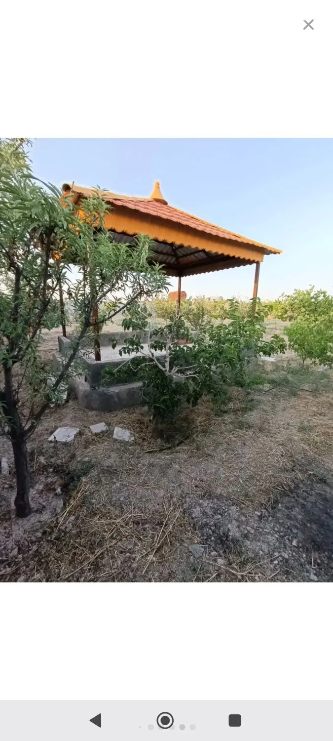 باغ داخل مجتمع شخصی