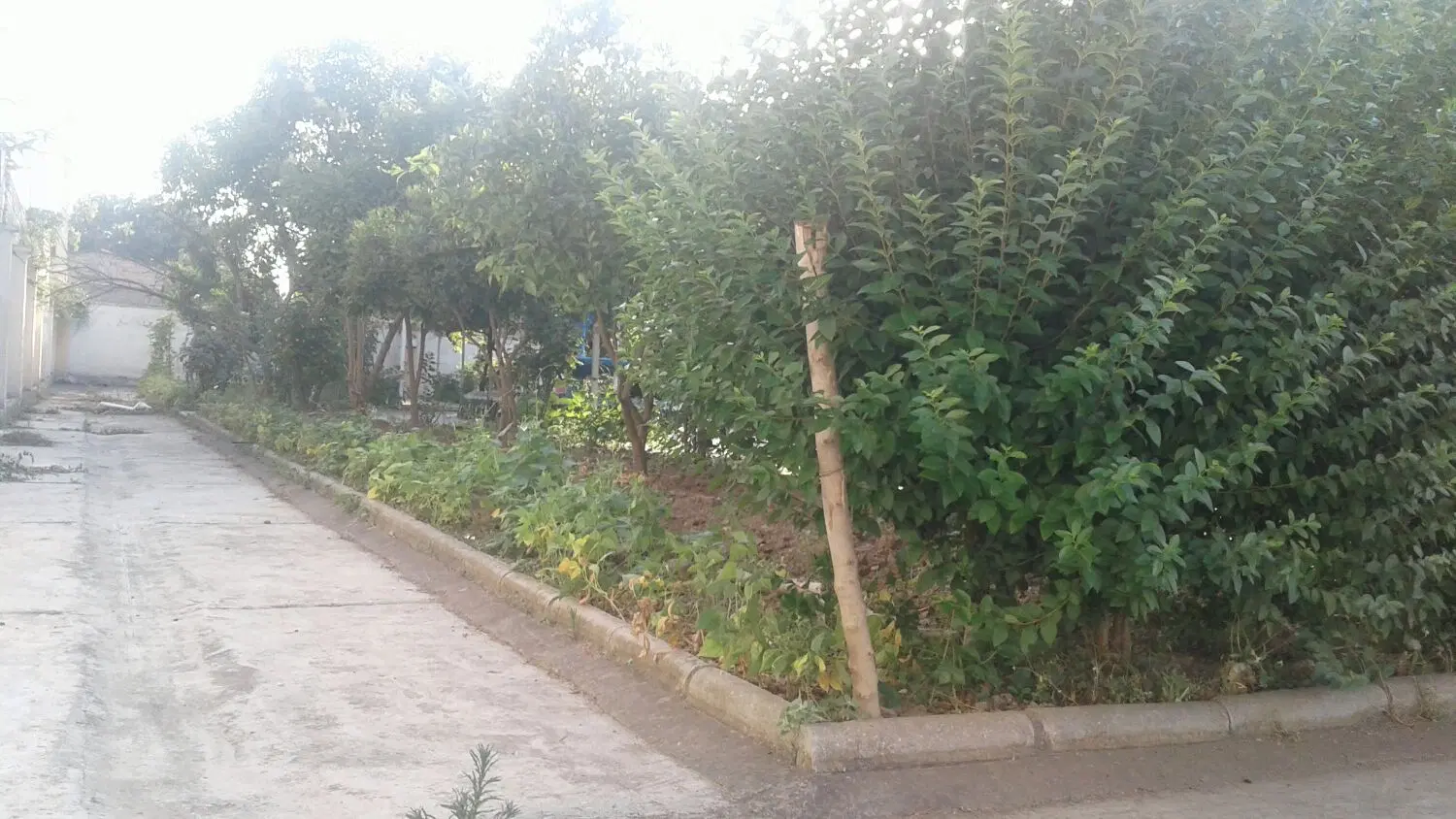 خانه ویلایی رهن