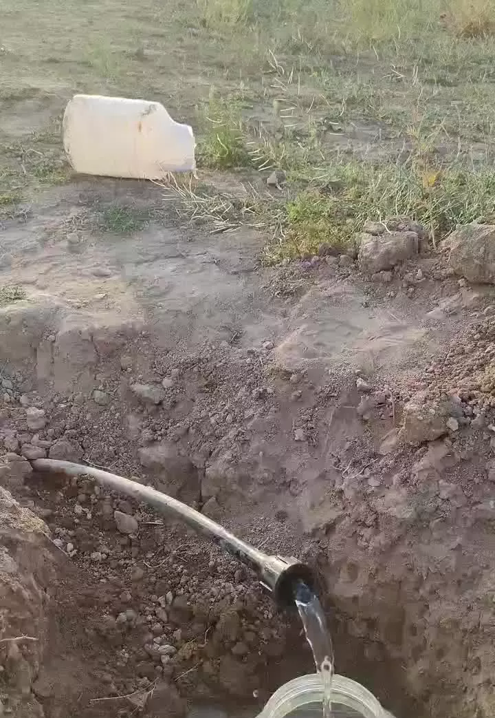 باغشهر
