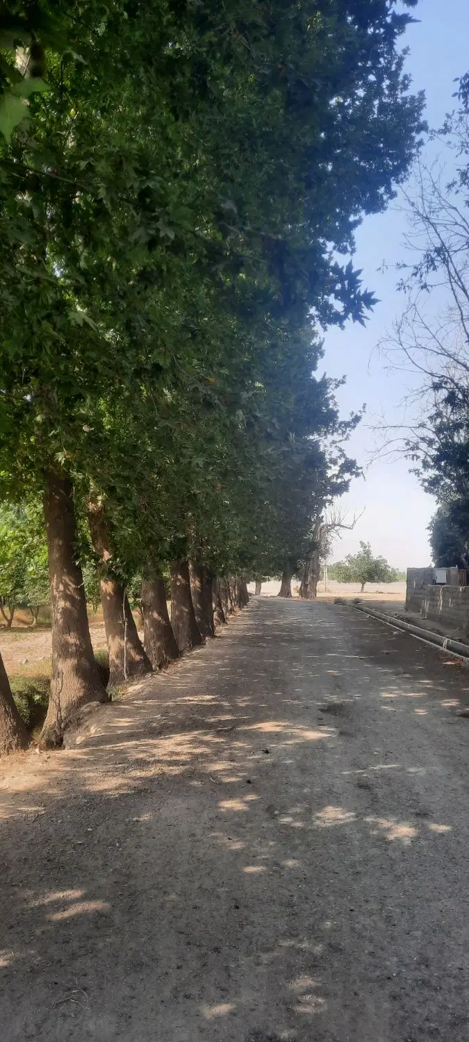 باغ ویلا ۴۰۰ متری با ۴۰ متر بنا، آماده استفاده