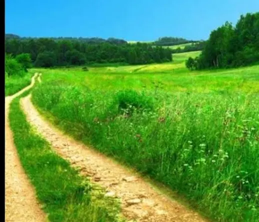 زمین تجاری مسکونی خلف آباد