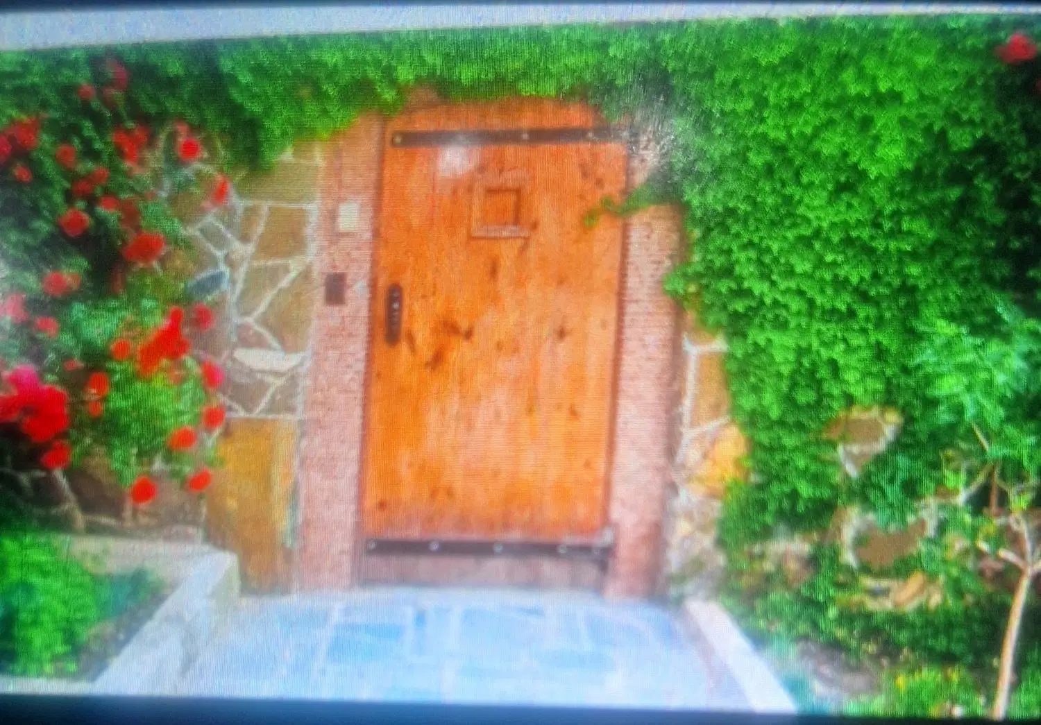 فروش