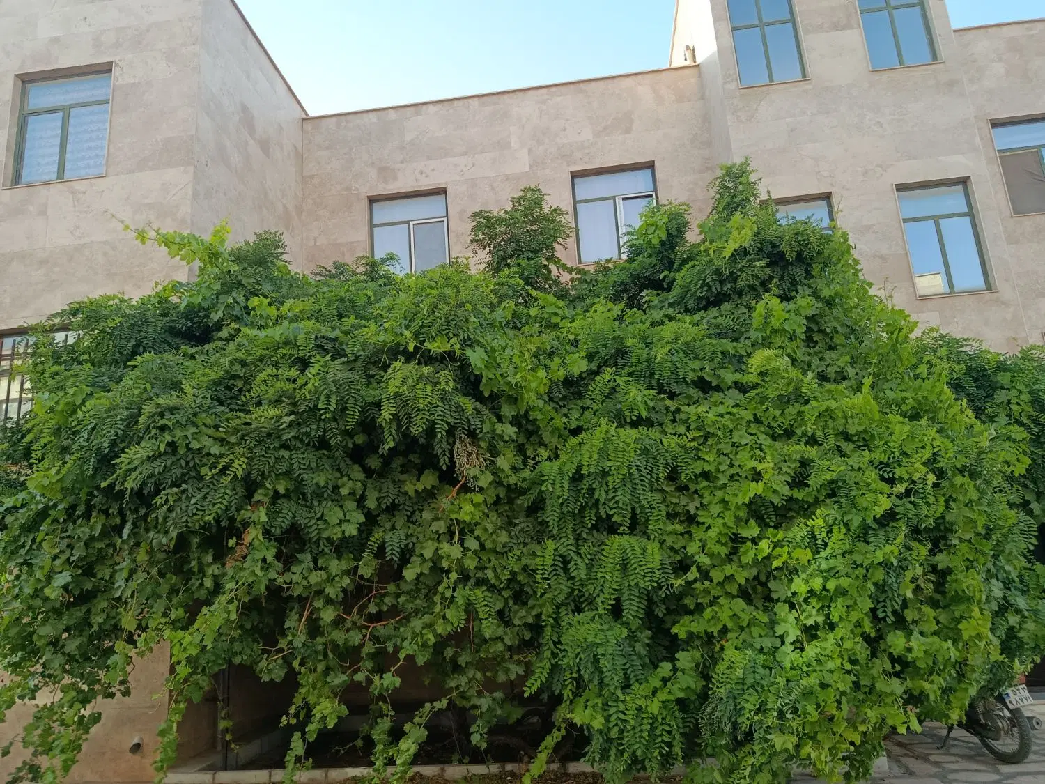 واحدآپارتمانی