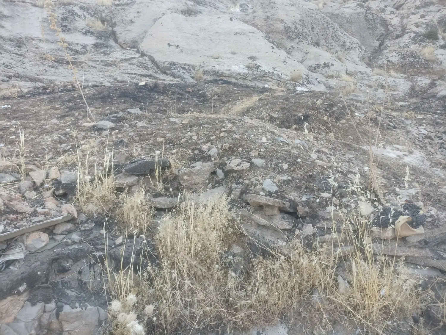 فروش زمین
