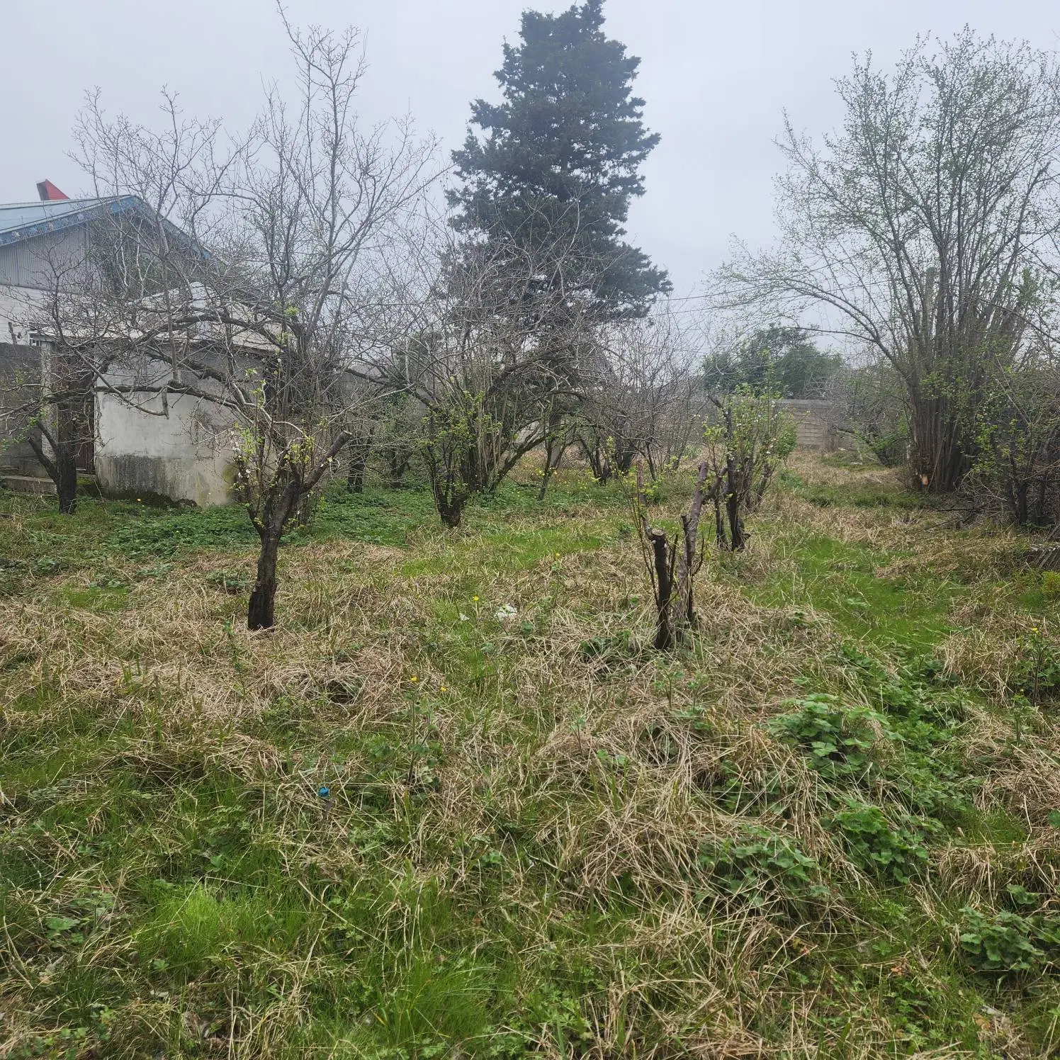 زمین مسکونی