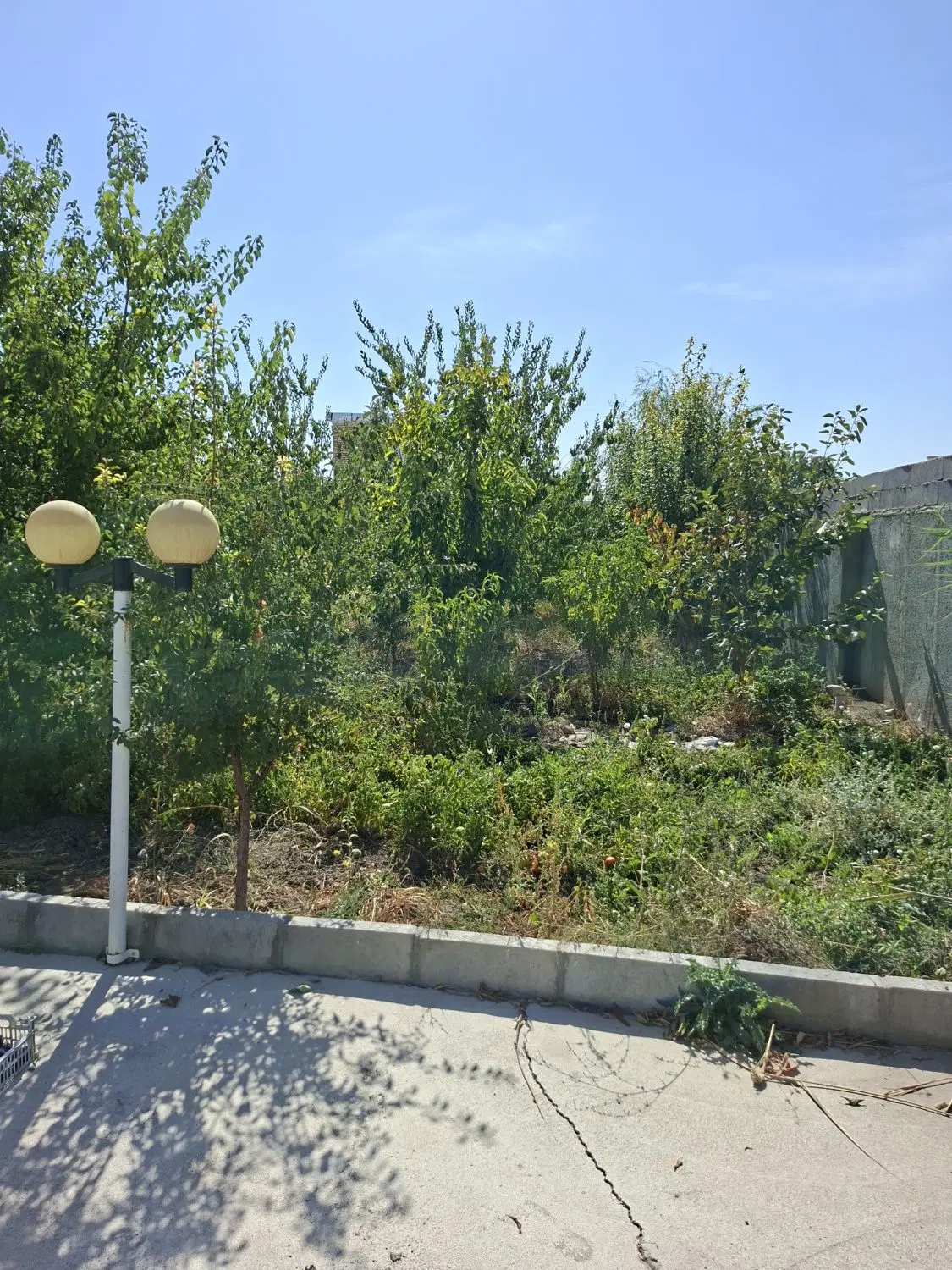 باغ ویلا اردوشاهی کوی صبا