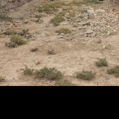 زمین